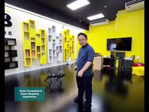 Smart Companion & Smart Shopping Experience